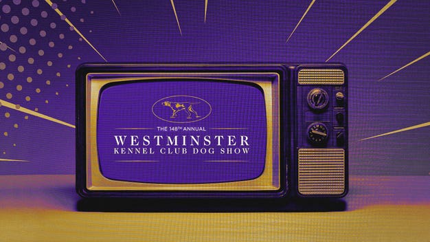 2024 Westminster Dog Show: Schedule, dates, TV, streaming, how to watch