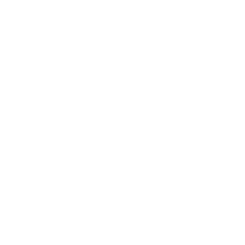 WOMEN'S NATIONAL BASKETBALL ASSOCIATION